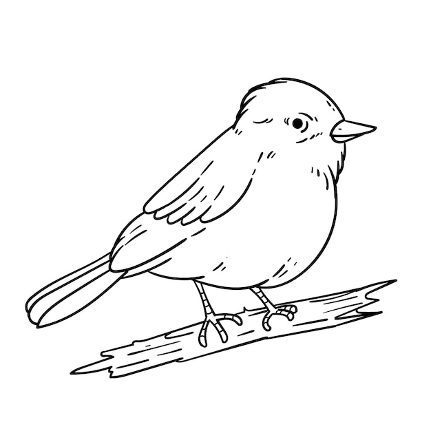 Free Vector Hand drawn bird outline illustration