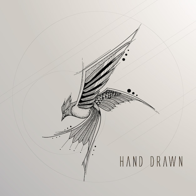 Hand drawn bird