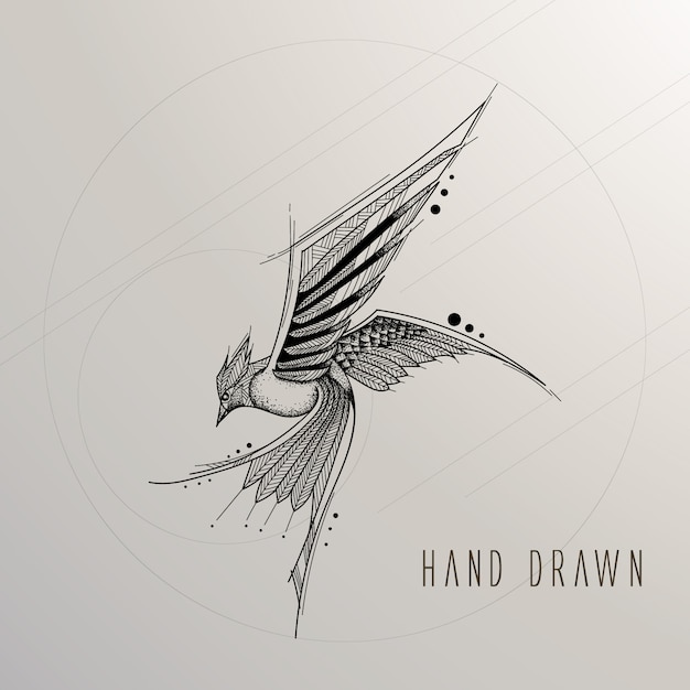 Free Vector | Hand drawn bird