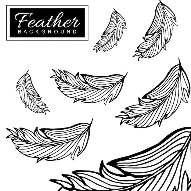 Download Hand Drawn Black & White Feather Background Vector | Free ...