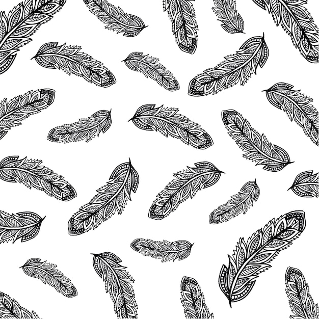Download Hand drawn Black and White feather background Vector ...