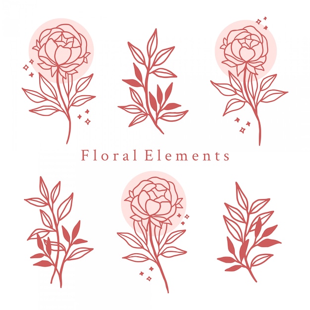 Premium Vector Hand Drawn Botanical Floral Elements 6402