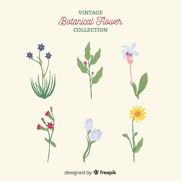 Download Hand drawn botanical flower collection Vector | Free Download