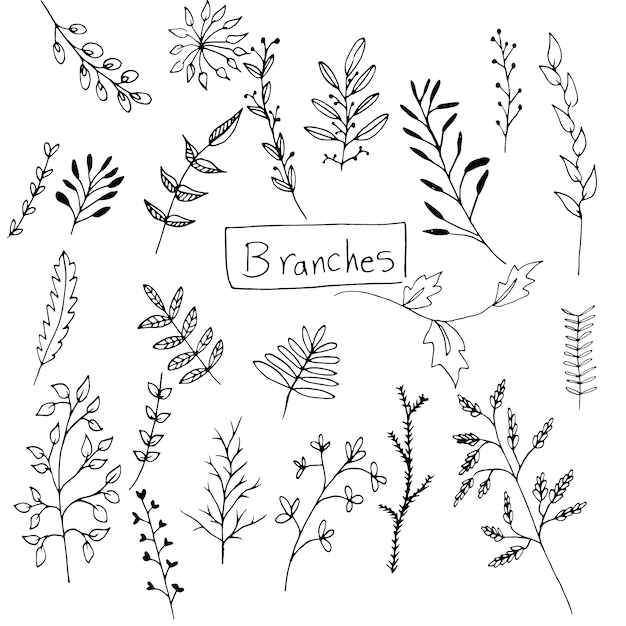 Download Free Vector | Hand drawn branches collection