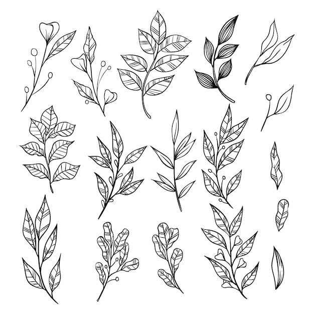 Hand drawn branches with leaves collection. decorative elements for decoration Premium Vector