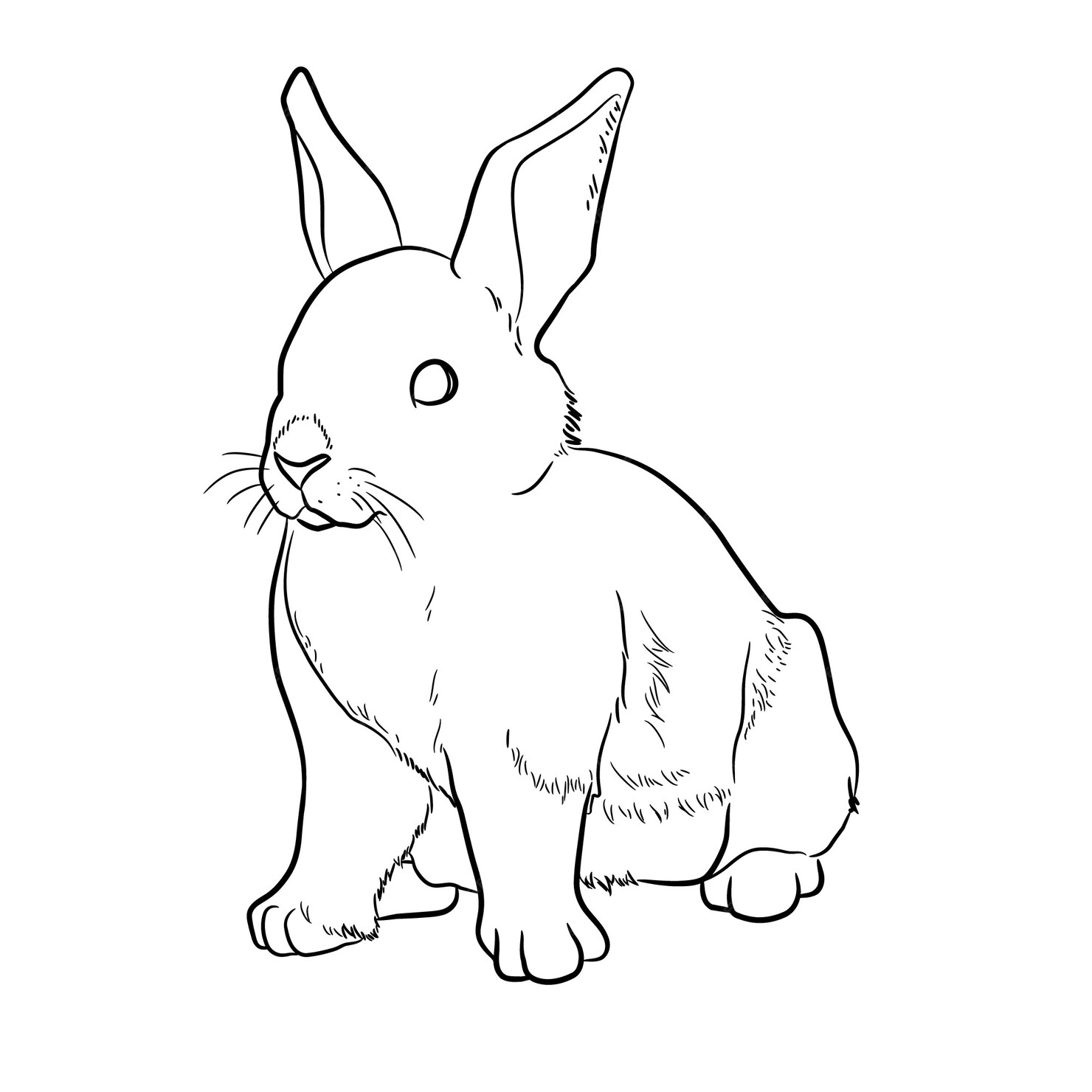 Premium Vector | Hand drawn bunny outline illustration