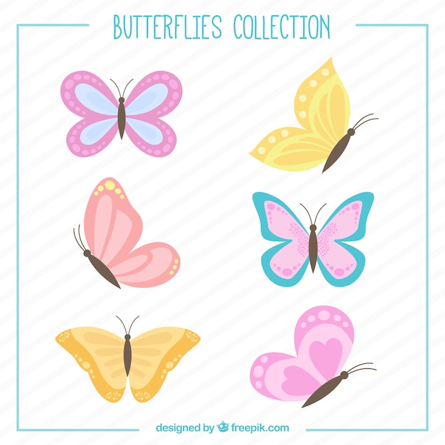 Hand drawn butterflies set