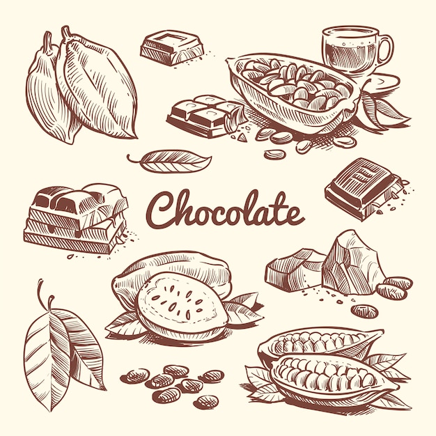 Premium Vector | Hand drawn cacao, leaves, cocoa seeds, sweet dessert