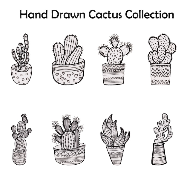 Free Vector | Hand drawn cactus collection