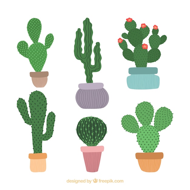 Free Vector | Hand drawn cactus collection