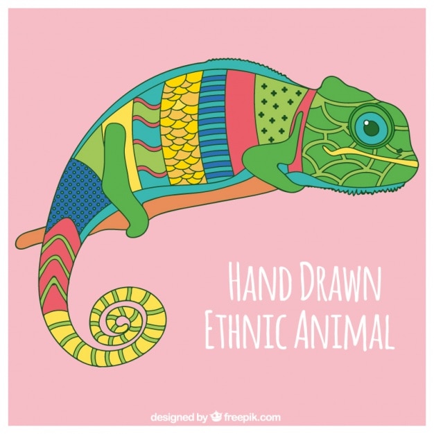 Hand drawn chameleon colorful in ethnic\
style