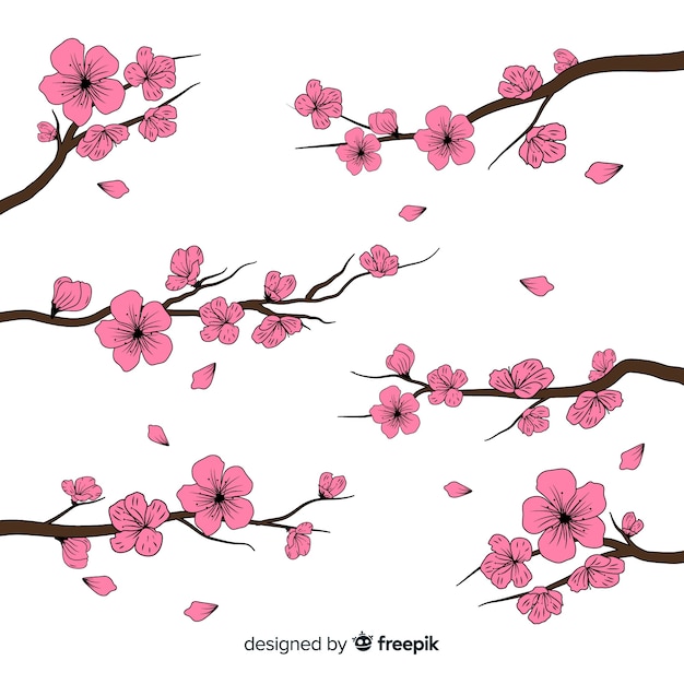 Hand drawn cherry blossom branch background | Free Vector