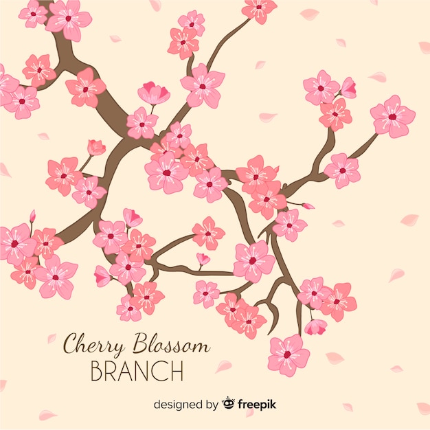 Download Free Vector | Hand drawn cherry blossom branch