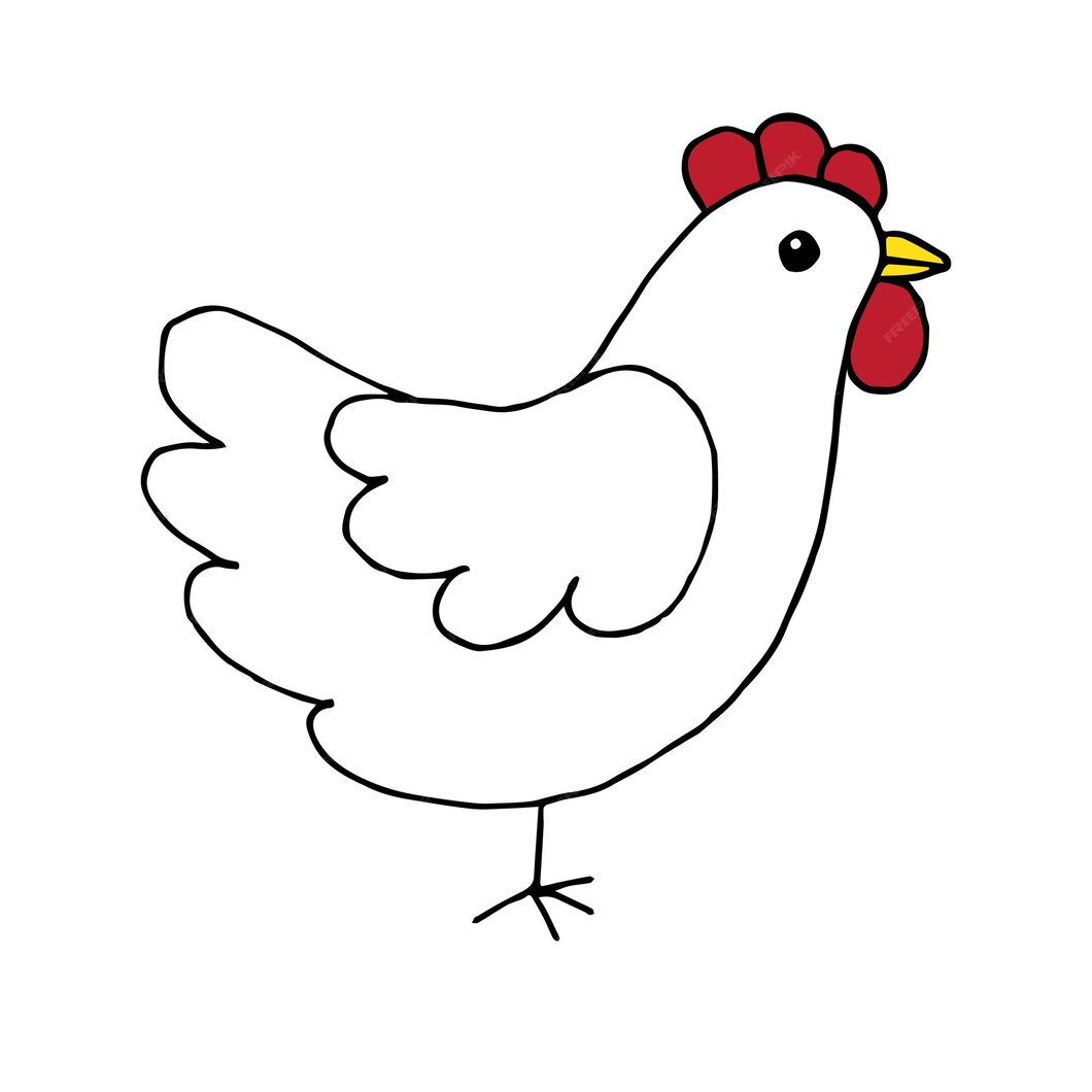 Premium Vector | Hand drawn chicken isolated on white background
