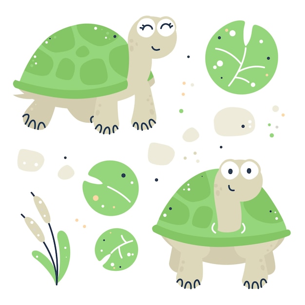 Download Premium Vector Hand Drawn Childish Set With Turtles Leaves And Reeds