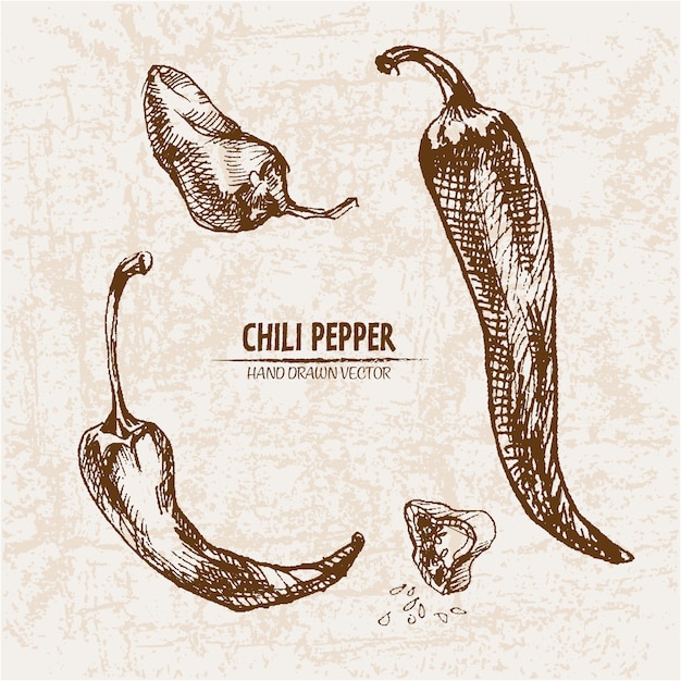 Featured image of post How To Draw A Chili Pepper Create a new layer then draw the stalk shape and fill it with a brown color