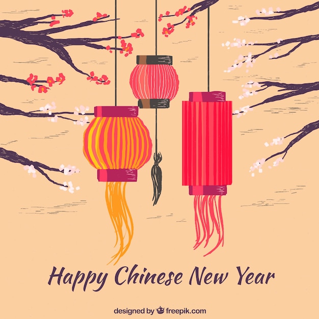 Free Vector | Hand drawn chinese new year background