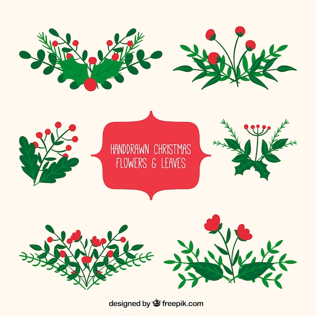 Download Free Vector | Hand drawn christmas flowers