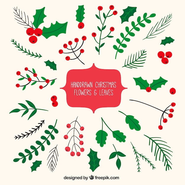 Download Hand Drawn Christmas Leaves Vector | Free Download