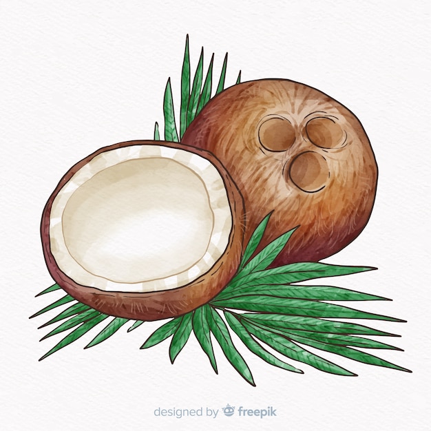 Free Vector | Hand drawn coconut background