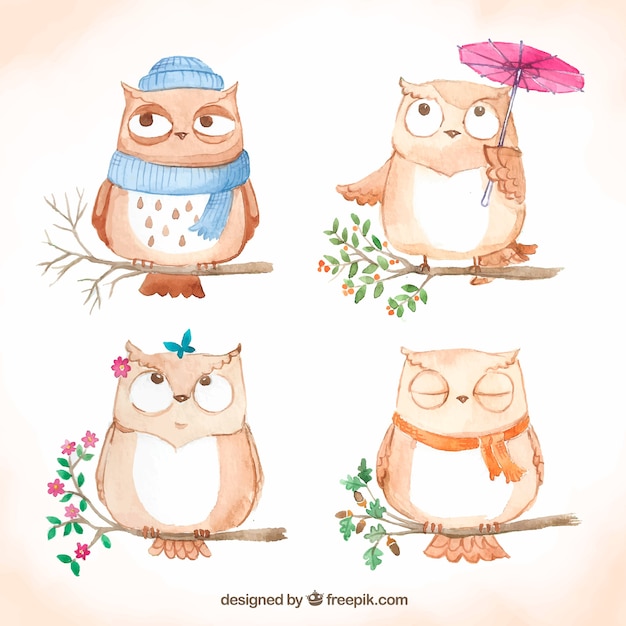 Hand drawn collection of cartoon owls