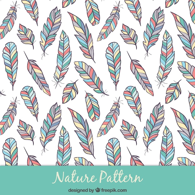 Free Vector | Hand drawn colored feathers pattern