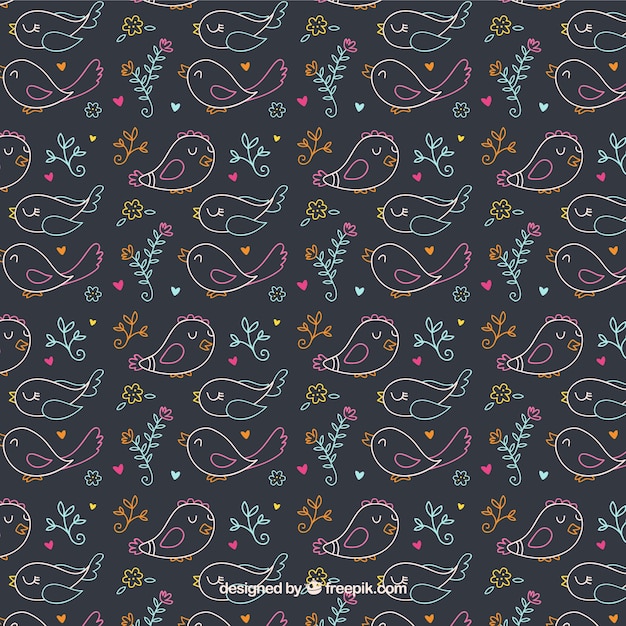 Hand drawn colorful birds pattern