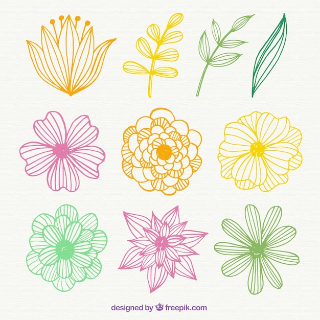 Download Free Vector | Hand drawn colorful flowers