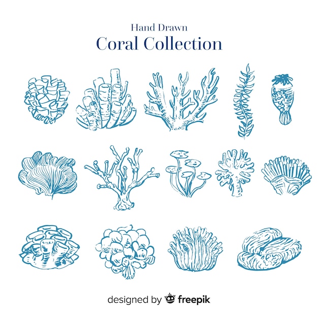 Hand drawn colorless coral collection | Free Vector