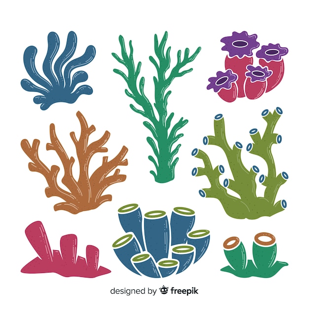 Free Vector | Hand drawn coral collection