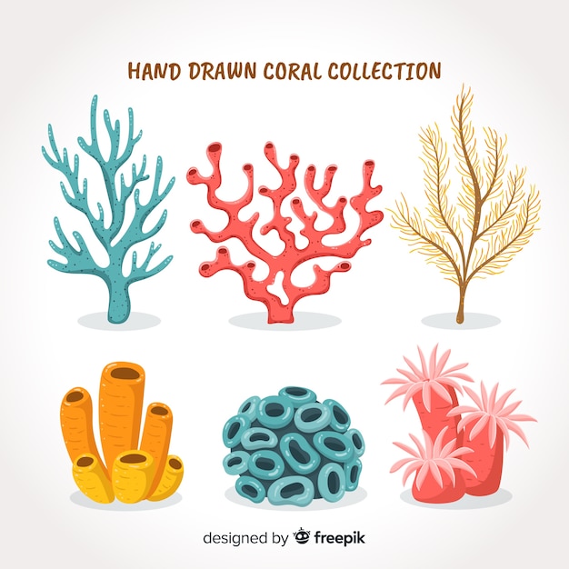 Download Hand drawn coral collection | Free Vector