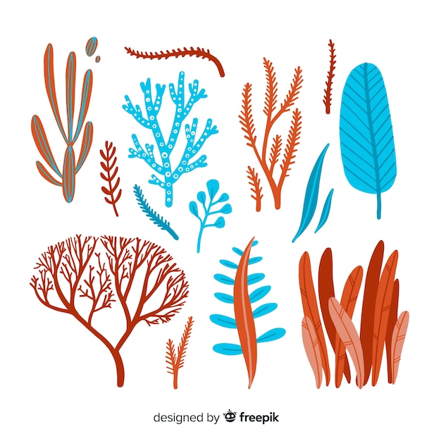 Download Hand drawn coral collection | Free Vector