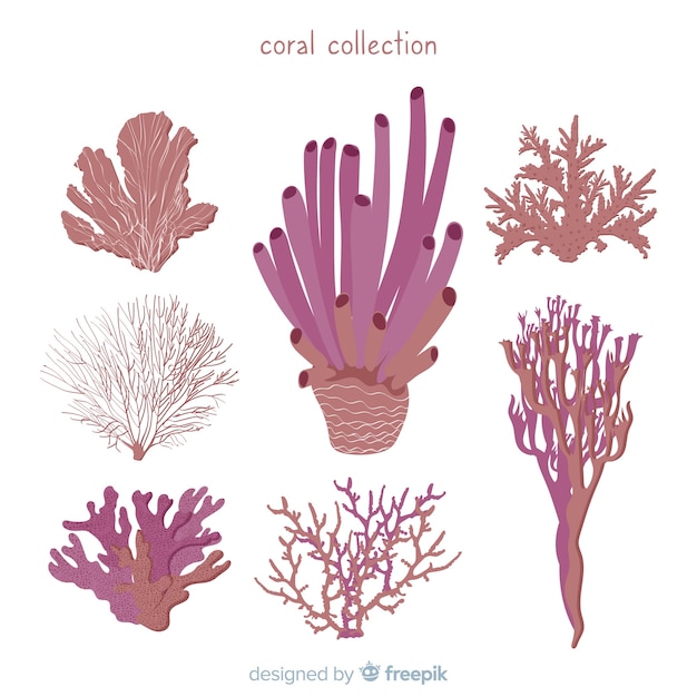 Download Hand drawn coral collection | Free Vector