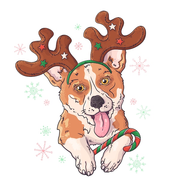 Premium Vector Hand drawn of dog in christmas accessories