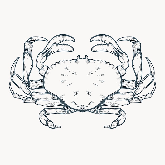 Premium Vector Hand drawn crab line art illustration