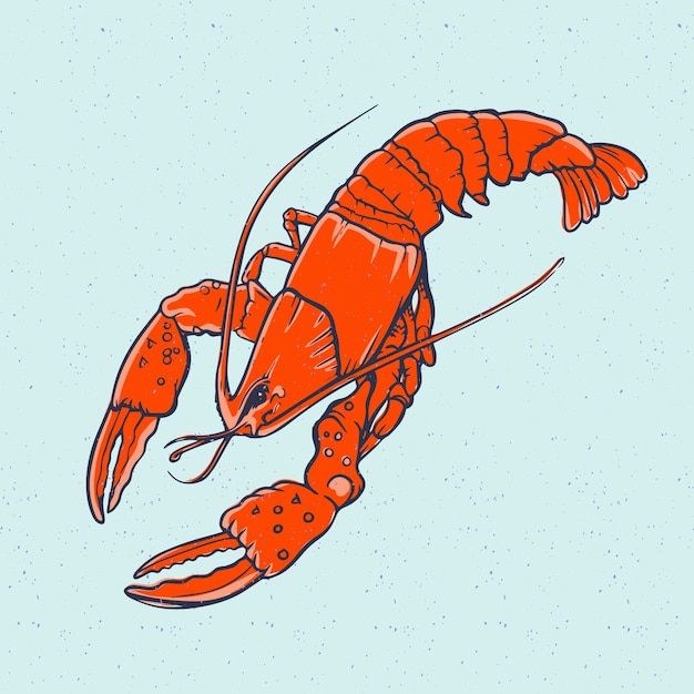 Free Vector Hand drawn crawfish illustration