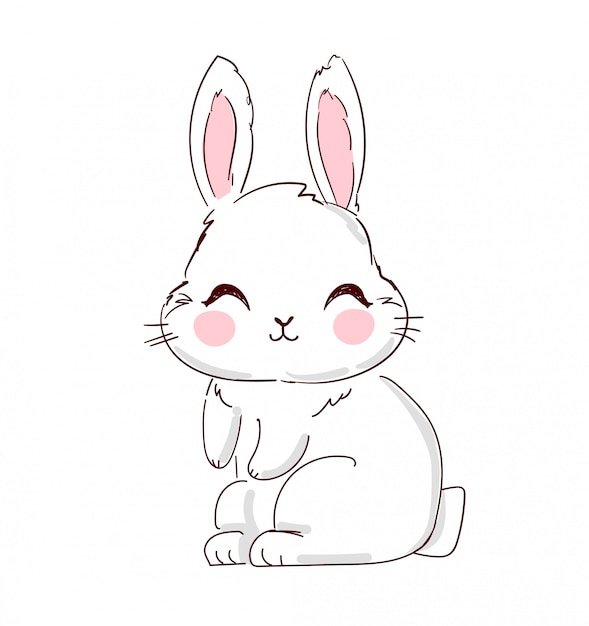 Premium Vector | Hand drawn cute bunny illustration