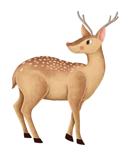 Download Hand-drawn cute fallow deer Vector | Free Download