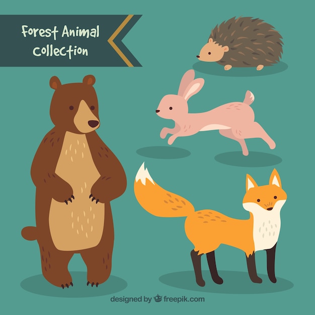 Download Free Vector | Hand drawn cute forest animal collection