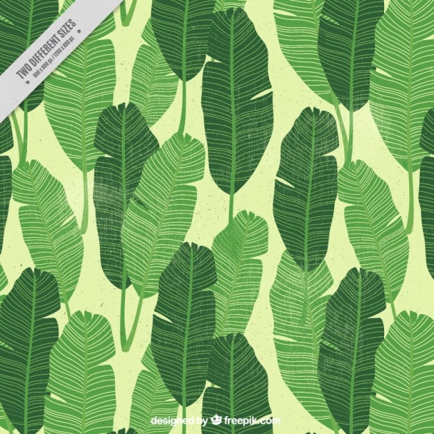 Free Vector | Hand drawn cute palm leaves background