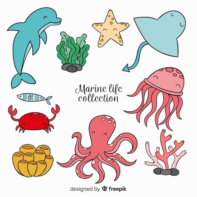 Free Vector | Hand drawn cute sea animals collection