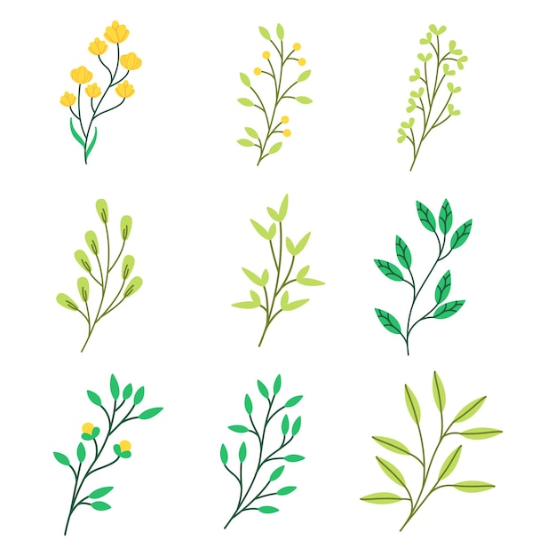 Premium Vector | Hand drawn decorative leaves floral elements