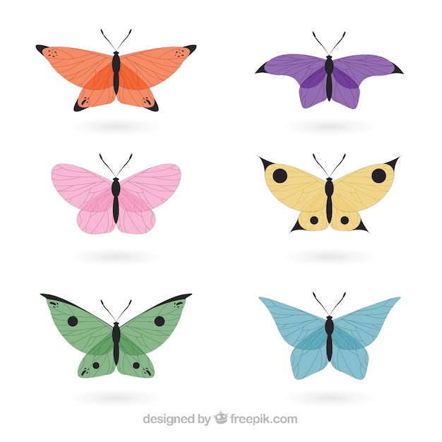 Hand drawn delicated butterflies in\
colors