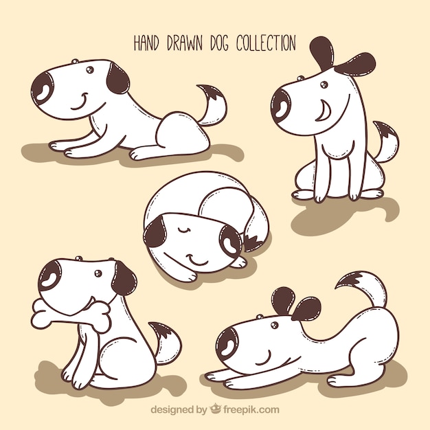 Hand-drawn dog collection