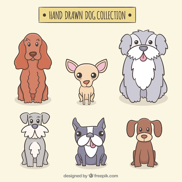 Hand drawn dog collection