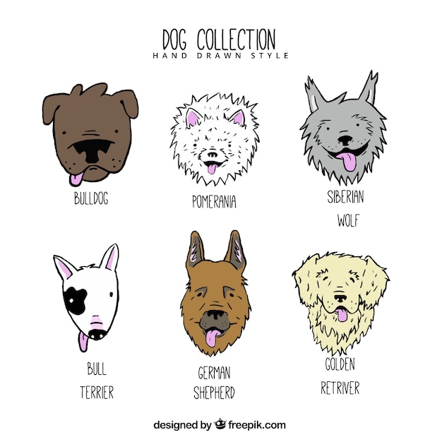 Hand-drawn dogs of different breeds