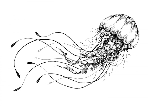 Hand drawn doodle jellyfish Vector Premium Download