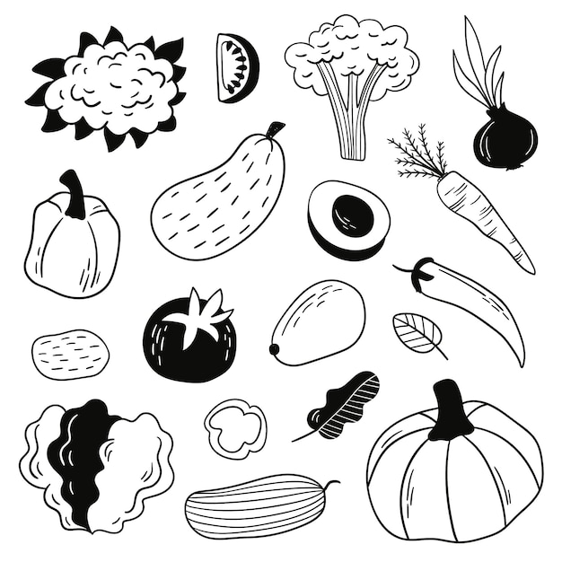 Premium Vector Hand Drawn Doodle Vegetables Set