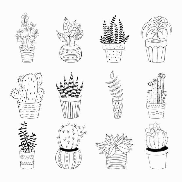 Premium Vector | Hand drawn doodles plants