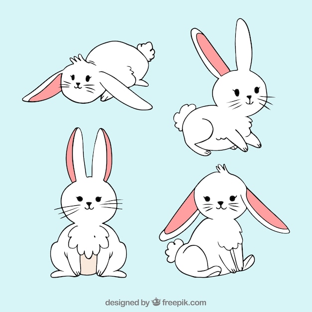 Download Hand drawn easter bunny collection Vector | Free Download